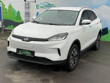 проводка коса: Weltmeister EX5, 2020 г., 70000 км, Передний, В наличии