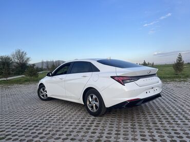 дешевые авто машины: Hyundai Avante: 2020 г., 1.6 л, Автомат, Газ, Седан