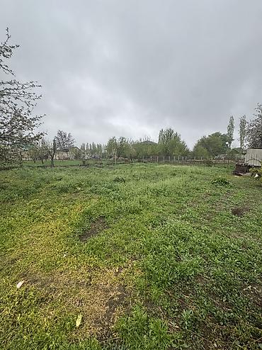 Продажа коттеджей и домов: ✨ Продаётся полуподвальный дом в с. Гавриловка ✨ 🏡 — 5