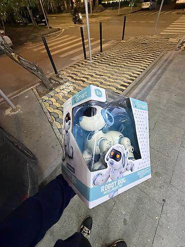 Robotlar və transformerlər: Uşaqlar üçün gözəl hədiyyə! Uşaqlarınız üçün ağıllı robot it və pişik — 1