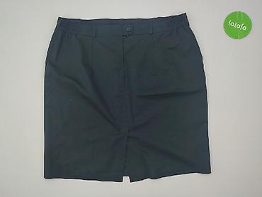 spódnica basic: Spódnica damska, rozmiar 4XL — 3