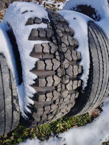 Шины: Продаются колёса на ЗИЛ -131, Урал,Газ66,Экскаватор, Т-150 at lalafo.kg — 8 Шины: Продаются колёса на ЗИЛ -131, Урал,Газ66,Экскаватор, Т-150 — 8