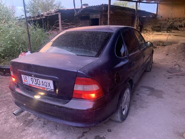 опель вектора б: Opel Vectra: 1996 г., 1.6 л, Механика, Бензин