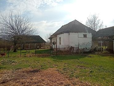 Torpaq sahələrinin satışı: 38 sot, Kənd təsərrüfatı, Mülkiyyətçi, Kupça (Çıxarış) — 15