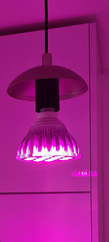 Rasveta: Prodajem polovnu, samo isprobanu sijalicu sa postavljenih slika. Možda — 1