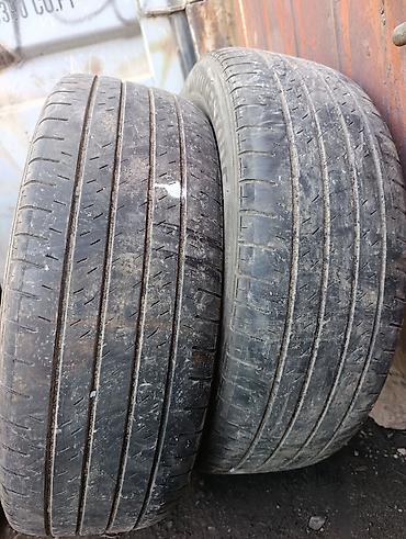 60: Шины 225 / 60 / R 18, Лето, Б/у, Пара, Внедорожные (АТ/МТ), Япония, Bridgestone — 1