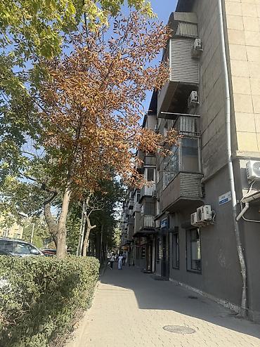 квартиры красная речка: 3 комнаты, 58 м², Бишкек Парк ТРЦ Индивидуалка, 4 этаж, Евроремонт — 1
