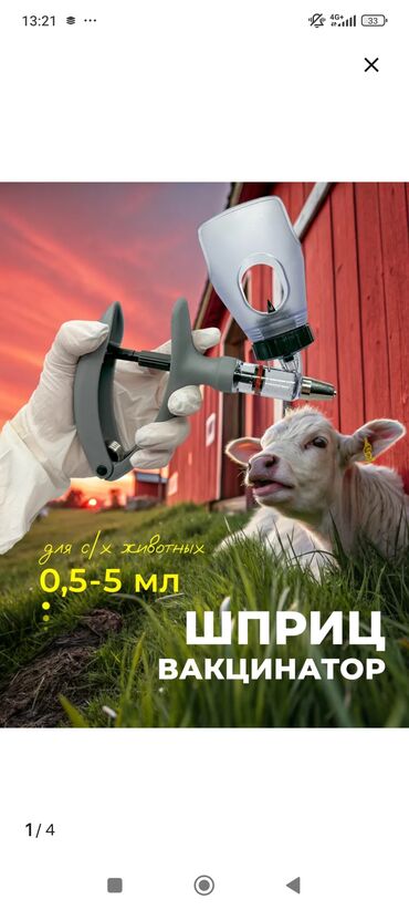 дойные корова: Продается шприц вакцинатор для мелкого и крупно-рогатого скота. Очень