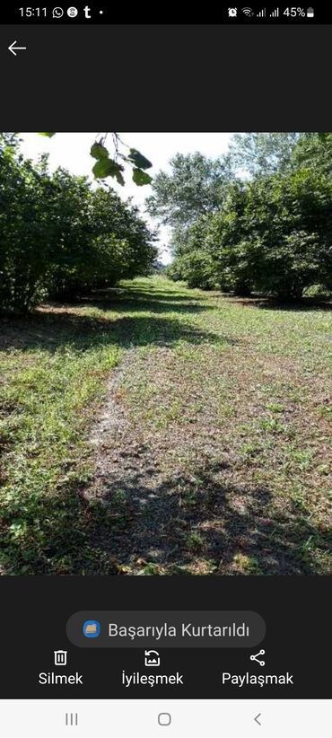 cıdır düzü: 70 sot, Biznes üçün, Maklerlər narahat etməsin, Kupça (Çıxarış), Müqavilə