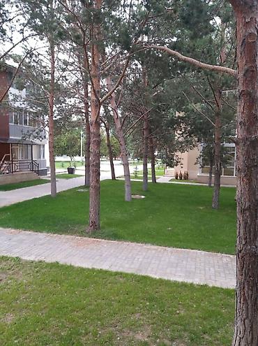 act building: Аренда квартиры на Иссык-Куле, Чок-Тал, 5 мест, Цена С человека — 1