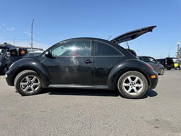жук жабан: Volkswagen Bettle: 2004 г., 2 л, Автомат, Бензин, Хэтчбэк — 10