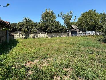Torpaq sahələrinin satışı: 8 sot, Tikinti, Maklerlər narahat etməsin, Kupça (Çıxarış) -da lalafo.az — 9 Torpaq sahələrinin satışı: 8 sot, Tikinti, Maklerlər narahat etməsin, Kupça (Çıxarış) — 9