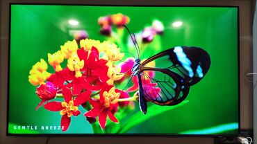 taube 55 led smart tv 4k uhd tb55s2rbk: Yeni Televizor Samsung Led 55" 4K (3840x2160)