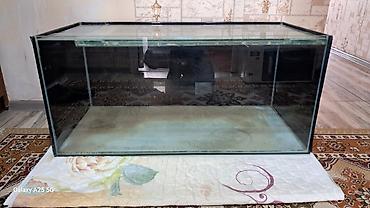 zavod akvarium: Прямоугольный аквариум, Пустой, 225 л — 2