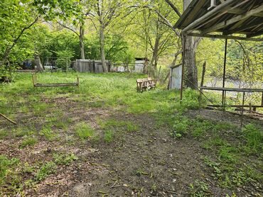 Torpaq sahələrinin satışı: Meşəlik ərazidə təbii gözəlliyə sahib torpaq sahəsi ve ev - Yaşıl — 14