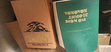 Художественная литература: Классика, На русском языке — 29