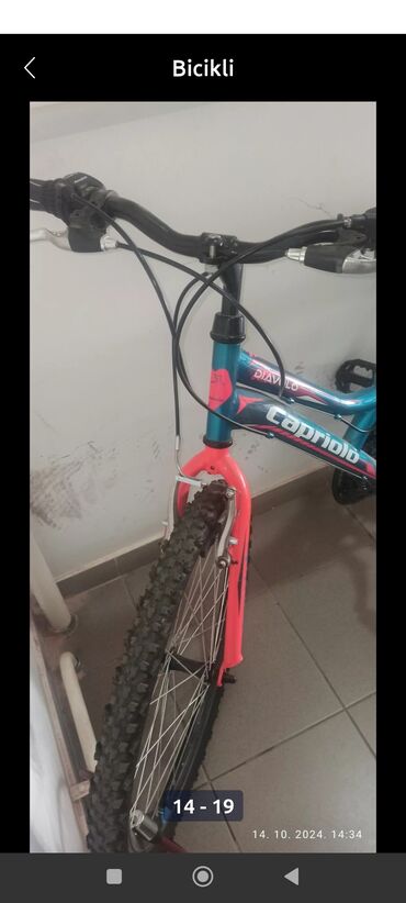 Dečiji bicikli: Capriolo Diavolo 400 – dečiji/teen MTB bicikl - Veličina rama: 13" — 10