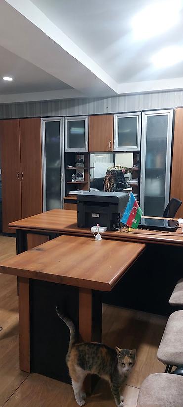 Kommersiya daşınmaz əmlakı: Şəhərin mərkəzində Süleyman Rüstəm 143a binanın yarızirzəmisində 50 kv — 2