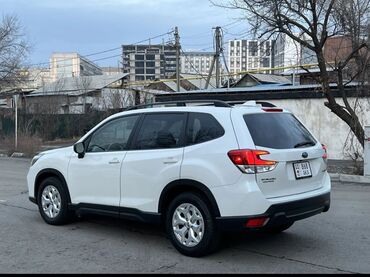 Subaru: Subaru Forester: 2019 г., 2.5 л, Вариатор, Бензин, Универсал — 5