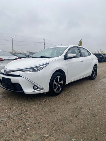 королла гибрид: Toyota Corolla: 2018 г., 1.8 л, Робот, Гибрид, Седан