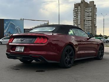 Ford: Ford Mustang: 2018 г., 2.3 л, Автомат, Бензин, Кабриолет — 9