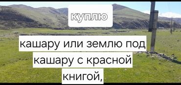 сдам квартиру в бишкеке недорого без посредников: Куплю кашару или участок под кашару с красной книгой в районе токмака