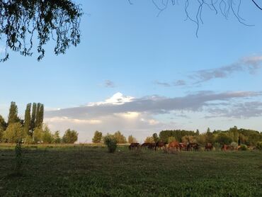 оталбайт не едет маторунда иши бар мотору бузук надо делать двигатель нужен ремонт двигателя нужен ремонт требуется ремонт требуется ремонт двигателя надо делать незаводиться не заводиться ненаходу не на ходу не находу ненахаду бузук жазаш керек журбойт: Малчы керек
