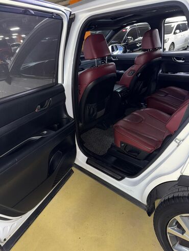 Hyundai: Hyundai Palisade: 2019 г., 2.2 л, Автомат, Дизель, Кроссовер — 12