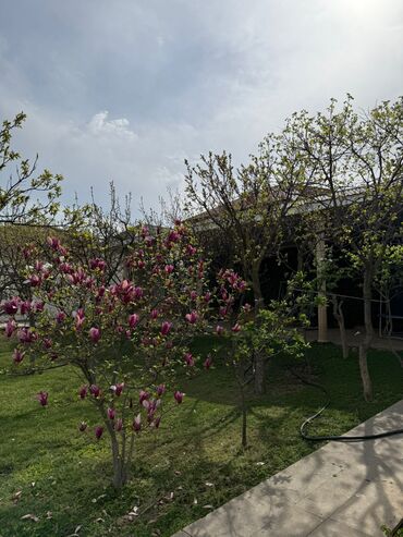 Həyət evləri və villaların satışı: Novxanıda, Görədil dəmir yolu stansiyasına piyada 10-15 dəqiqəlik — 27