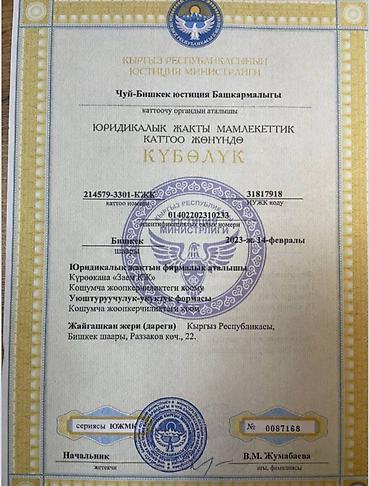 sprinter 2 2: Компания | Займ | Без поручителей — 2