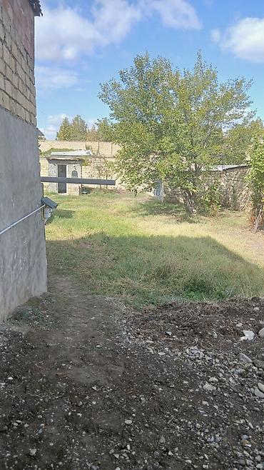 istanbul evleri: 5 otaqlı, 1500 kv. m, Kredit yoxdur, Orta təmir — 5