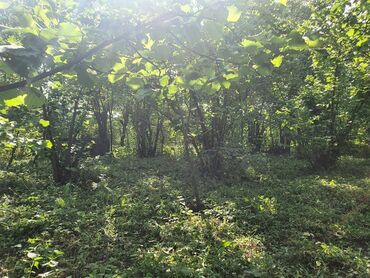 Həyət evləri və villaların satışı: 5 otaqlı, 158 kv. m, Orta təmir -da lalafo.az — 7 Həyət evləri və villaların satışı: 5 otaqlı, 158 kv. m, Orta təmir — 7