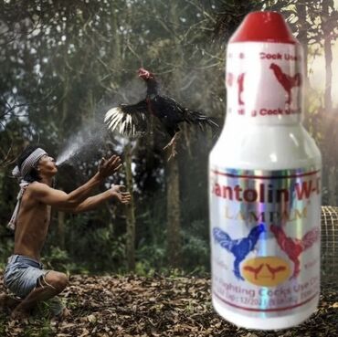 витамин для животных: О шамо ганой есть очень много разных витамин для бойцовой птицы и