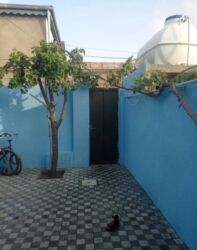 Uzunmüddətli kirayə mənzillər: Tecili Zabrat 1 Qayinin arxasinda Ateis yolunda 3 otaqli temirli heyet — 16