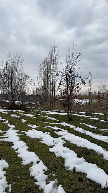 Продажа участков: 8 соток, Для бизнеса, Красная книга, Договор купли-продажи — 6