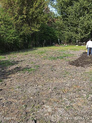 Другие услуги: Спашка огорода С дизельный мотоблок и бензиновый Цена договорная — 11