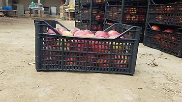 Ящики: Ящик — 11