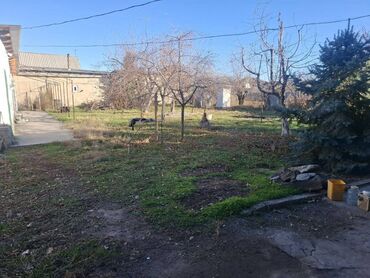 Продажа домов: Дом, 60 м², 3 комнаты at lalafo.kg — 3 Продажа домов: Дом, 60 м², 3 комнаты — 3