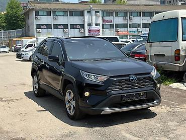 spot: Toyota RAV4: 2021 г., 2.5 л, Гибрид, Кроссовер — 1