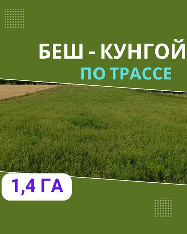 земельная доля: 140 соток, Айыл чарба үчүн, Сатып алуу-сатуу келишими