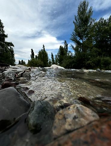 Продажа домов: Времянка, 50 м², 3 комнаты — 3