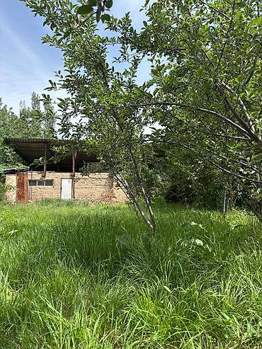 Продаётся земельный участок с домом и хозяйственными постройками. 🌿 at lalafo.kg — 7 Продаётся земельный участок с домом и хозяйственными постройками. 🌿 — 7