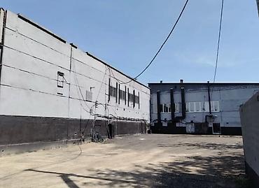 Покраска потолков, Покраска наружных стен, 3-5 лет опыта