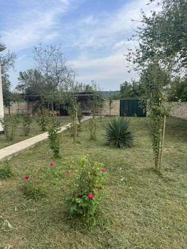 Bağ evlərinin satışı: Qəbələ, 80 kv. m, 3 otaqlı, Hovuzsuz, Kombi, Qaz, İşıq — 2