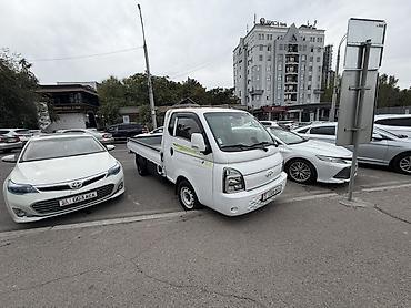 уаз бортовые: Легкий грузовик, Hyundai, Стандарт, 2 т, Новый — 1