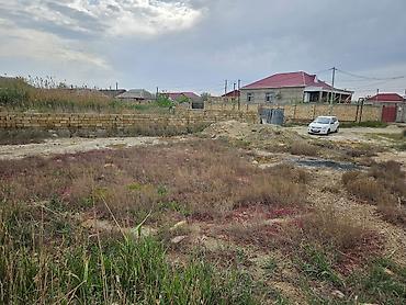 nzs de satilan evler: 6 sot, Mülkiyyətçi, Kupça (Çıxarış) — 6