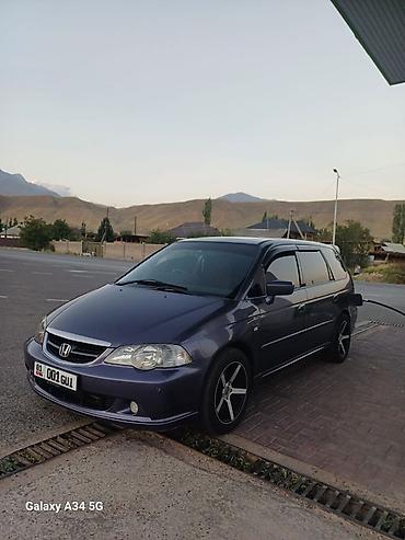 куплю одисей: Honda Odyssey: 2002 г., 3 л, Автомат, Газ, Минивэн — 1