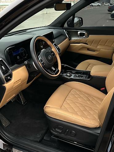 Kia: Kia Sorento: 2020 г., 1.6 л, Автомат, Гибрид, Кроссовер — 12