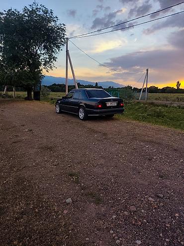 авто толщиномер: Mercedes-Benz W124: 1995 г., 2 л, Механика, Седан — 5