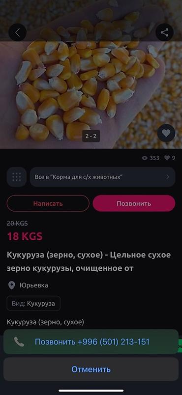 бишкек метал: Кукуруза (зерно) — желтое цельное сухое зерно, высыпано большими — 2